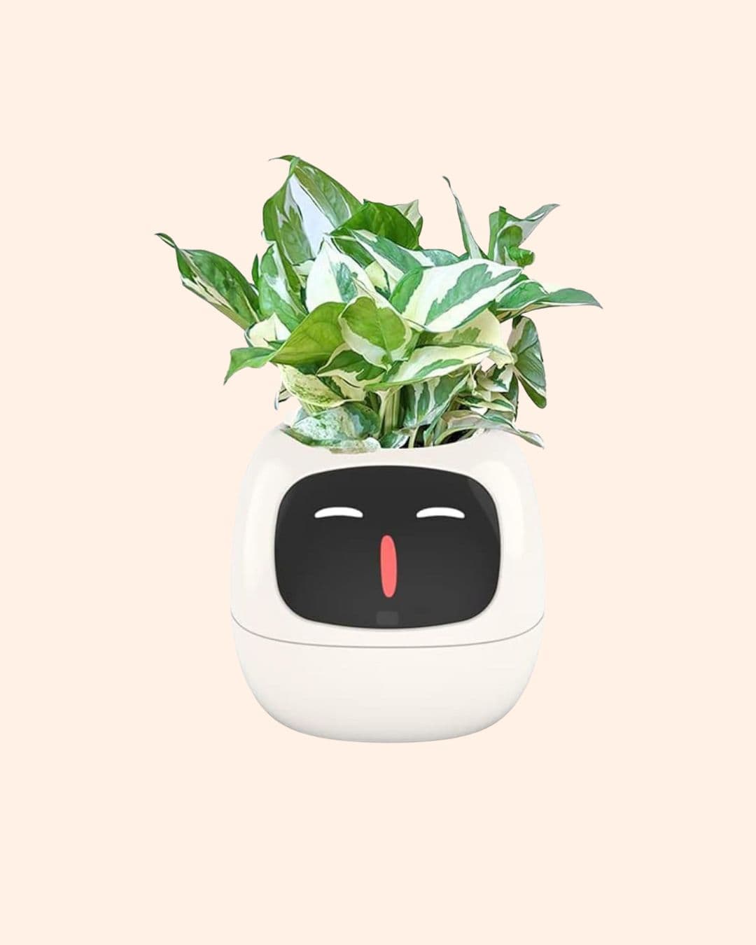 Smart Flowerpot