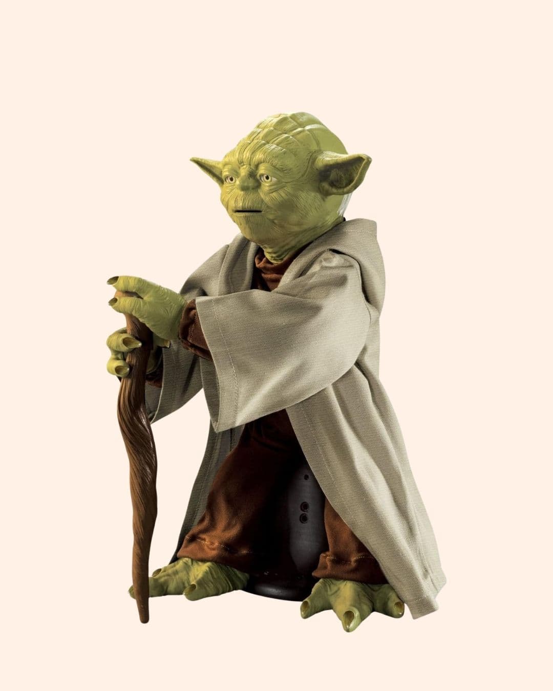 Carousel Main Image 4