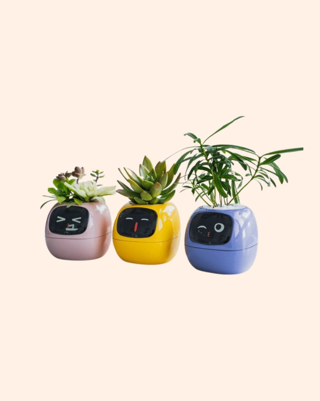 Carousel Main Image 4